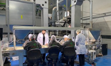 Zerovasa Group'tan bir hizmet daha 