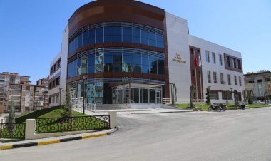 Nizip Belediyesi Sokak hayvanlarıyla ilgili harekete geçti