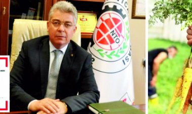 NTO Nizip Mızar Havucu’nu Coğrafi İşaretle Tescilledi