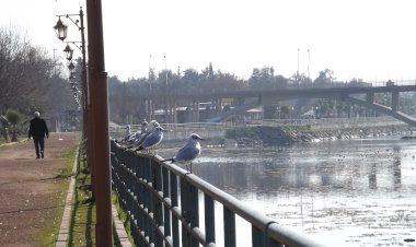 Birecik’te Caddeler, Parklar ve Kıyı Şeridi Sessizliğe Büründü
