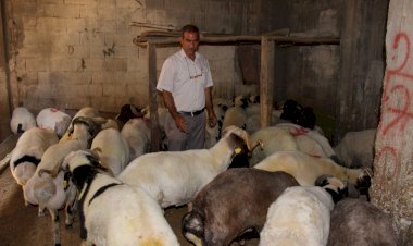 Nizip'te kurbanlık satışları başladı