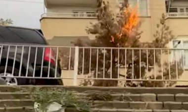 Elektrik telleri ağacı yaktı