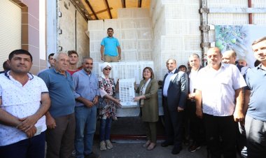 Büyükşehir'den çiftçilere zeytin kasası