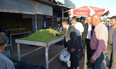 Kaymakam Çağlar, Zeytin Satan Esnafı Ziyaret Etti