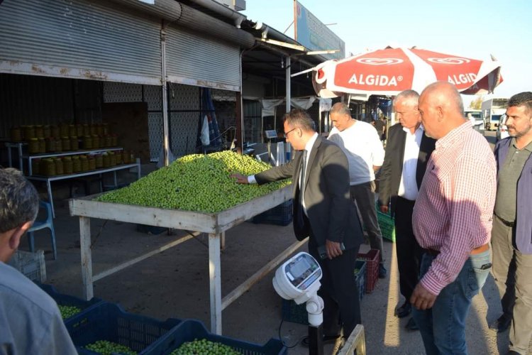 Kaymakam Çağlar, Zeytin Satan Esnafı Ziyaret Etti