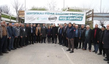 Gaziantep'in ilçelerindeki çiftçiye 50 bin fidan dağıtıldı