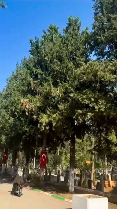 NİZİP ASRİ MEZARLIĞI’NDA ŞAŞIRTAN ANLAR! KARGANIN SESİ VATANDAŞLARI HAYRETE DÜŞÜRDÜ