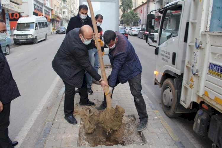 Başkan Sarı ağaçlandırma çalışmasına katıldı