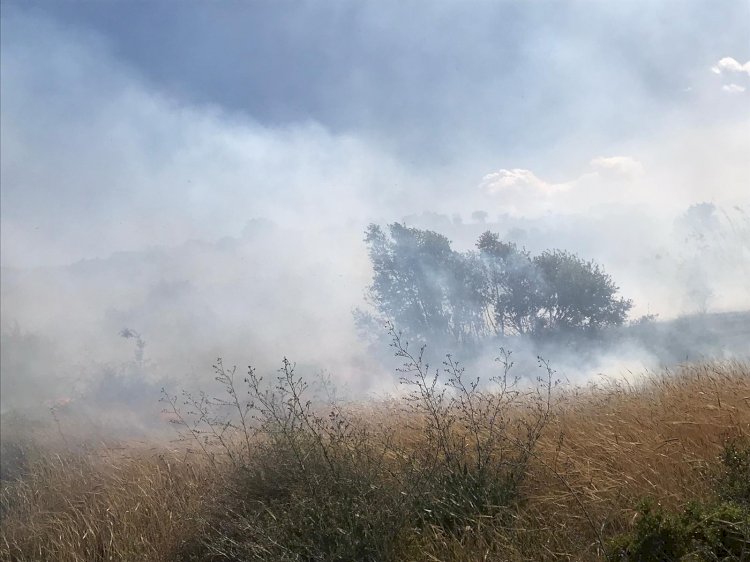 Nizip'te orman yangını