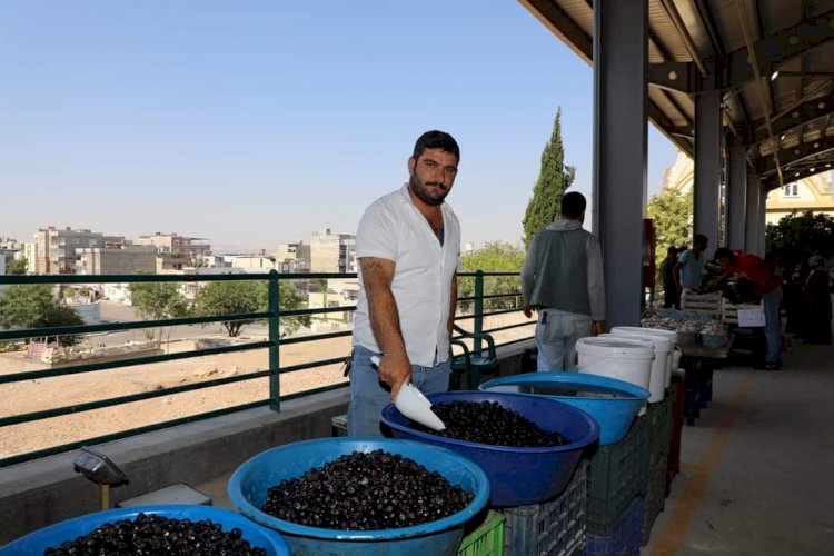 Semt Pazarında ilk satışlar bugün başladı