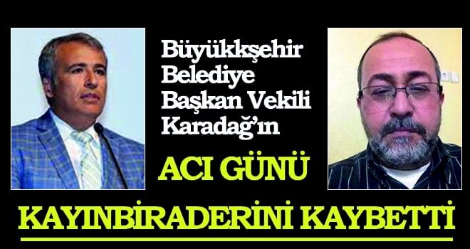 Karadağ'ın acı günü: Kaz hayatını kaybetti